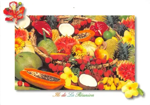 B51965 Corbeille de Fruits france