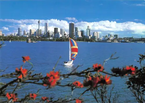 BR102007 sydney skyline and harbour cremorne point australia