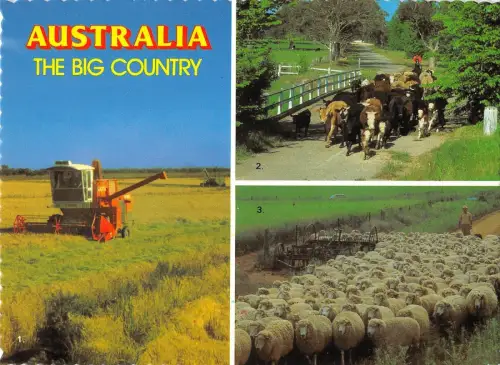 BR100798 Australien Ernte Reis treibende Rinder Schafherde