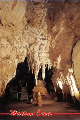 Lot253 waitomo caves entry ti cathedral new zealand
