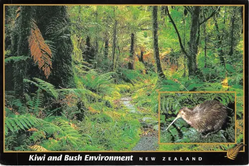 Lot253 Kiwi und Busch Umgebung Neuseeland