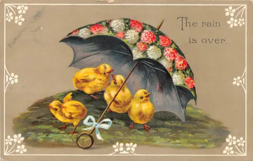 Lot222 Geflügel der Regen es ist über Küken unter Regenschirm Tier