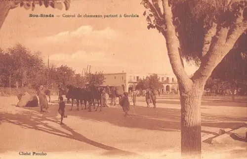 BF9192 convoi de chameux partant a gardais t bou saada algeria Algeria