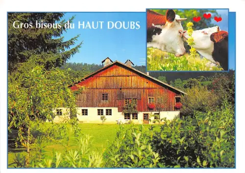 B53555 Doubs Une Ferme typique du haut Doubs france