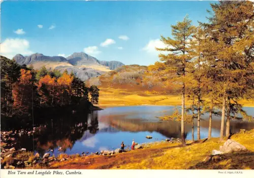 B87333 blea tarn and langdale pikes cumbria uk