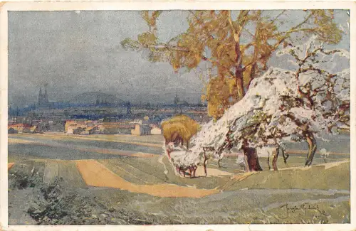 BT3079 Brunn Brno J Setelik Gemälde Postkarte Gesamtansicht Tschechien