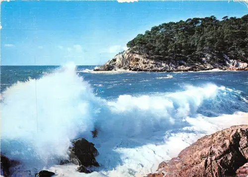 B53424 rivage mediterraneen frankreich