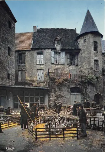 BR909 Frankreich Perigord La marche aux oies