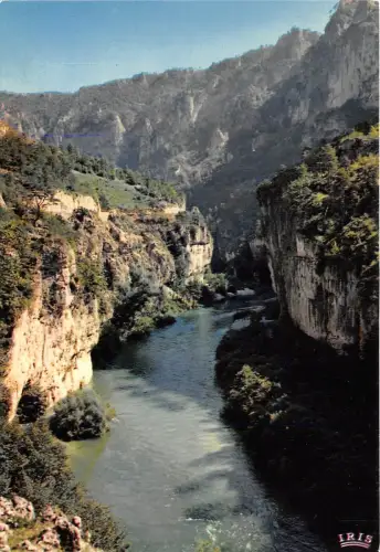 B53524 Gorges du tarn Les Detroits france