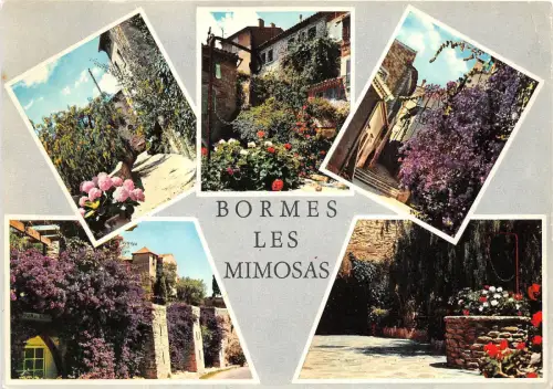 BR5163 Bormes les Mimosas france