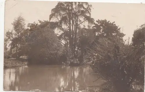 B80893 Echtfoto Brasilien Vorder-/Rückbild