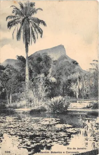 bg18944 RIo de Janeiro Jardim Botanico e Corcovado brasil brasil