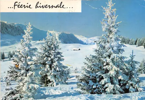 B53740 paysage d'hiver winterlandschaft frankreich