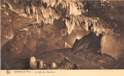 B58673 La Salle des mamelons grottes de Han belgium