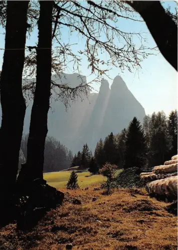 BG28026 Seiser Alm Alpe di Siusi Dolomiti Italien