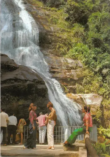 BG9654 cascatinha floresta da tijuca rio de janeiro brasil