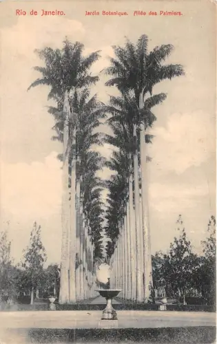 BR62436 rio de janeiro jardin botanique allee des palmiers brasil