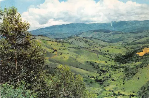 Lot100 compos do jordao vale do lageado vista chinesa brasil