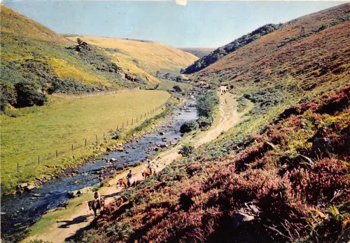 B87226 Badgworthy Water Doone Valley Exmoor Hills UK