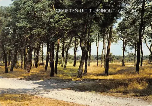 BR85654 Groeten uit Weiche Belgien