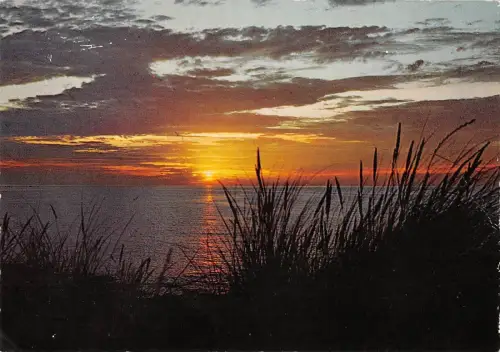 BT3784 De panne Belgium