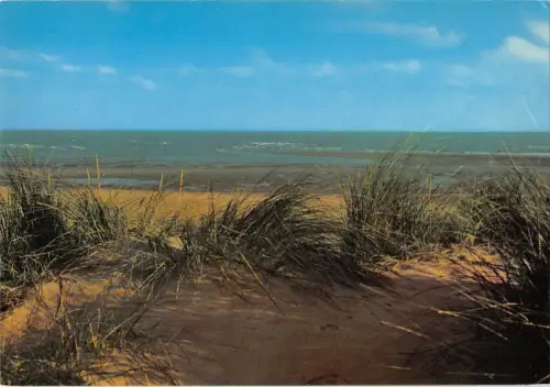 BT4546 Blankenberge Belgien 2