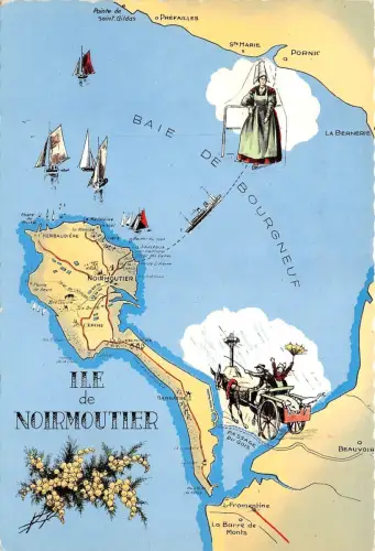 BR13102 Ile de Noirmoutier Karte cartes geographiques france