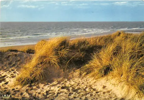 BG5031 monsabre les vagues arrivent dans un invisible lointain belgium