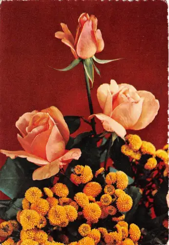 B52075 Fleurs Blumen Rosen