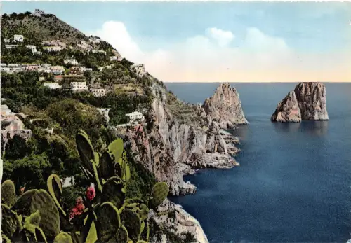 BR13513 The Crags Capri italy
