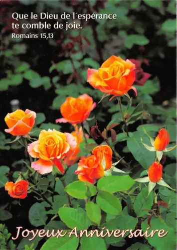 B52059 Fleurs Blumen Rosen