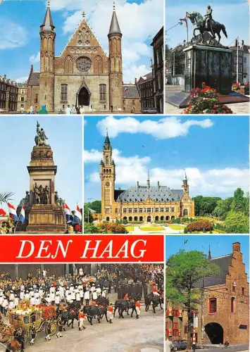 BG5417 den haag Pferd Niederlande