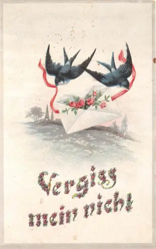 B70846 Vögel oiseaux Frankreich