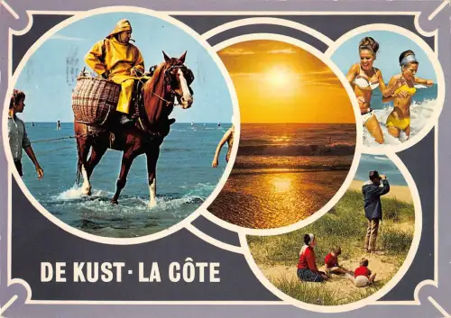 BT3218 De Kust Pferd chevaux la cote Belgien