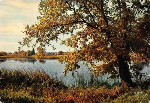 BR2073 Sologne A Lautomne un etang france