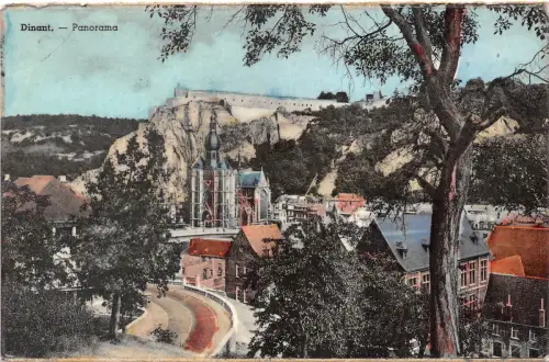 BR25026 Dinant Panorama Belgien