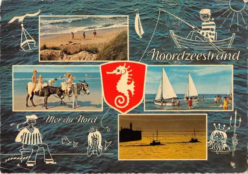 BT3633 Mer du Nord Schiff Bateaux Ane Esel Belgien