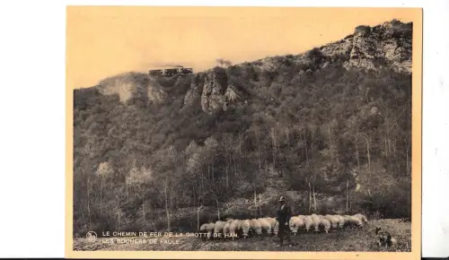 BF17529 le chemin de fer sheep mouton grottes de han belgien front/back image