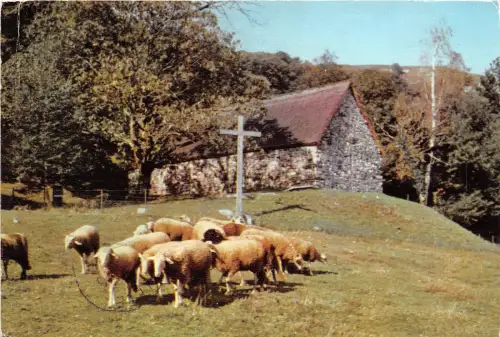 BG5686 Schafmouton lourdes la chapelle de la cite france