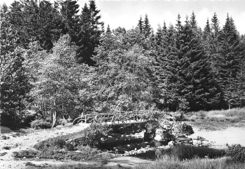 BG31053 la vallee de la hoegne belgium CPSM 14,5x10cm