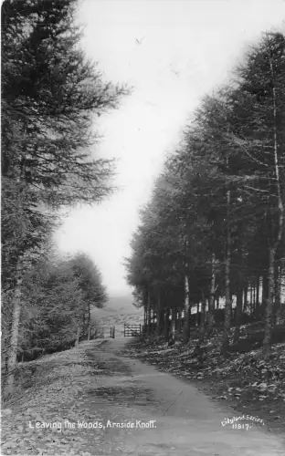 Lot372 UK Echtfoto Arnside Knott verlässt den Wald