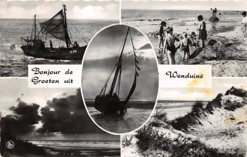 BG29680 wenduine belgium CPSM 14x9cm
