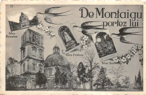 uk43053 de montaigu portez lui neuheit vögel