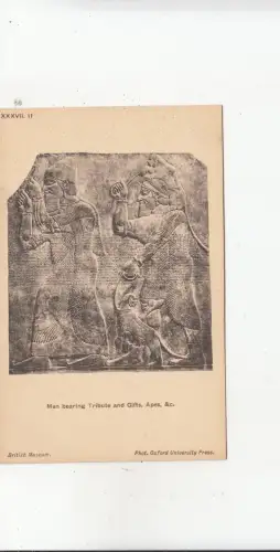 BF19036 Männer tragen Hommage und Geschenke und Skulpturen antike Kunst Vorder-/Rückseite Bild