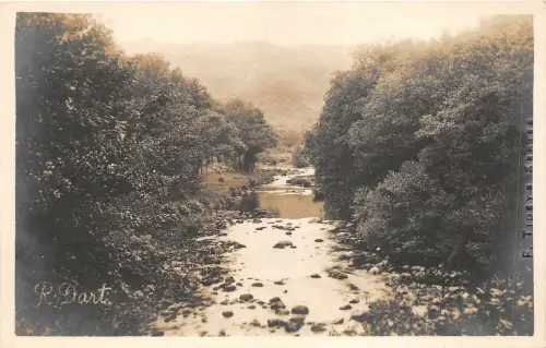 br107768 river dart uk echtfoto