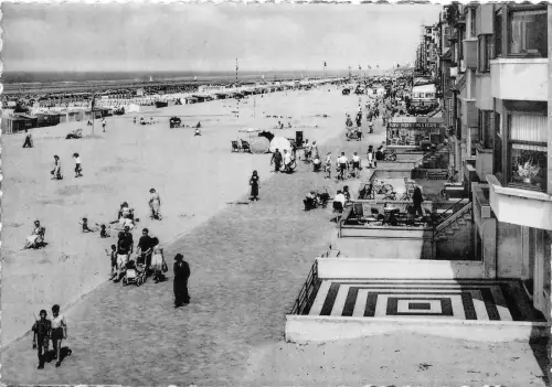 BR19694 La panne la digue belgium