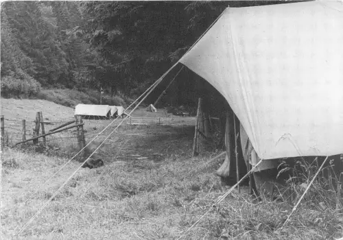 BR19814 Zo groeit on s dorp van dag tot dag wordt de natuur onze thuis belgium