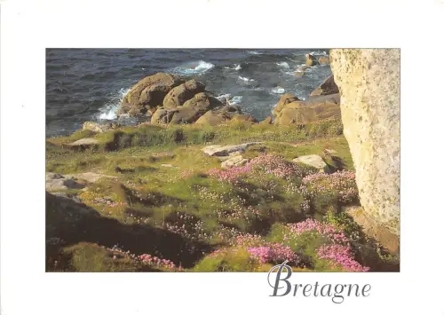 B52000 die Küste im Frühling Bretagne Frankreich
