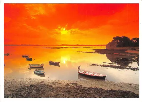 B49546 Calme plat dans la douceur du soir france