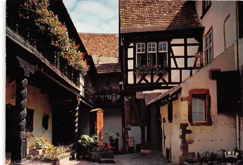 BR4579 L ́Alsace Pittoresque, Cour des Cigognes Rigewhr Frankreich